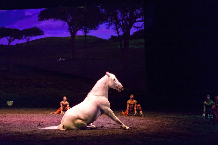 Cavalia_Odysseo_-_Sitting_down